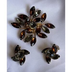 Lovely Vintage Root Beer Brooch & Clip On Earrings
